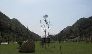 温州乐园营业时间